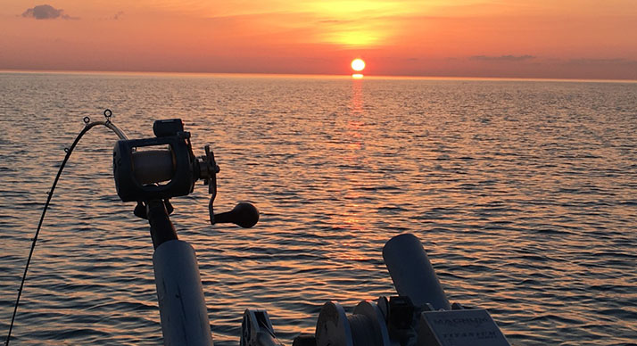 Lake Michigan Fishing Charters Lake Sunset